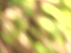 bareta Asian Goddess Unleashes Seductive Passion in Intimate Encounter