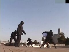 ZHPD03 Stylish Curves Tease & Tempt in a Sultry Seduction Showdown